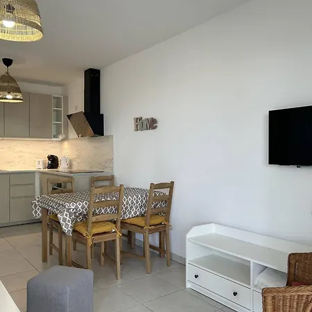 Moderne Avec Jardin Et Grande Terrasse, Proche Et Commerces - - Fr-1-251-835 Le Lavandou